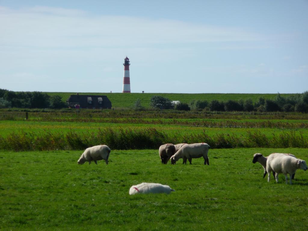 Haus Heverstrom Apartment Westerhever Bagian luar foto